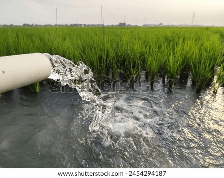Irrigation of rice fields using pump wells with the technique of pumping water from the ground to flow into the rice fields. The pumping station where water is pumped from a irrigation canal system.