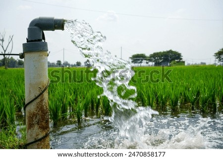 Irrigation of rice fields using pump wells with the technique of pumping water from the ground to flow into the rice fields. The pumping station where water is pumped from a irrigation canal system.