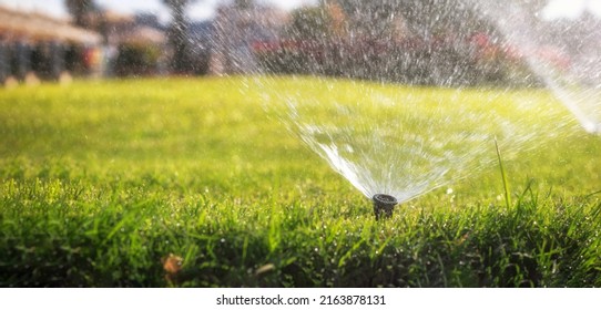 Irrigation sprinkler watering the green lawn in the park at sunset. - Shutterstock ID 2163878131