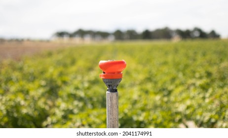 Irrigation Sprinkler Without Water Due To Water Shortage