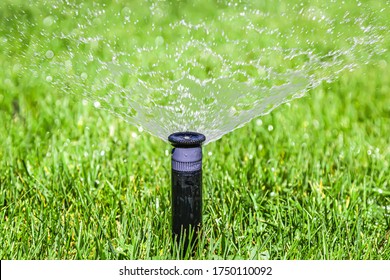 Irrigation system in garden on summer morning. Lawn sprinkler spraying water on fresh green grass. Automatic watering lawns