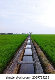 Irrigation System In Malaysia Since British Colonization