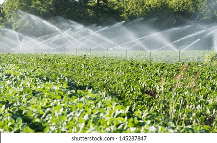 46,346 Agricultural sprinkler Images, Stock Photos & Vectors | Shutterstock