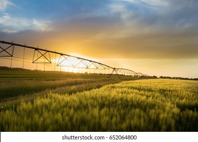 Irrigation system on wheels on wheat field at sunset in spring. Agricultural technologies - Shutterstock ID 652064800