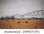 Irrigation system sprinkler type on corn field in the summer. Farm Agricultural Mechanical Watering Irrigation System. 