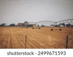 Irrigation system sprinkler type on corn field in the summer. Farm Agricultural Mechanical Watering Irrigation System. 