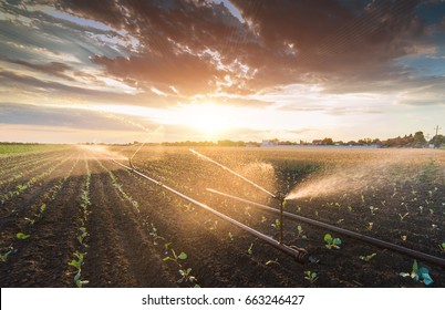 Irrigation system watering a crop of soy beans at field - Shutterstock ID 663246427