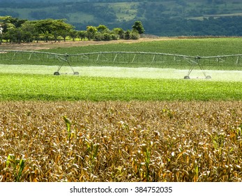 Irrigation System Watering A Farm Field Of Corn And Soy, In Brazil