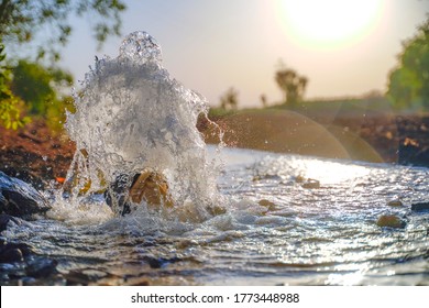 Irrigation water flow from pipe to canal for agriculture fields , slow motion water flash - Shutterstock ID 1773448988