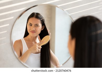 Irritated Young Chinese Woman Having Problem Of Her Thick Hair While Using Hair Brush, Looking At Mirror And Combing Hair, Bathroom Interior, Mirror Reflection Shot. Dry, Frizzy, Damaged Hair Concept