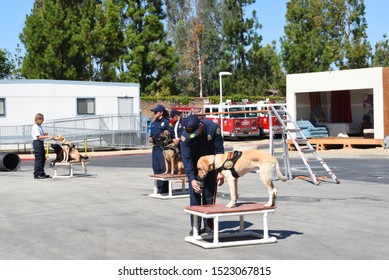 IRVINE, CALIFORNIA - 5 OCT 2019: Handlers Tend To Their Search And Rescue Dogs During The Orange County Fire Authority Open House.