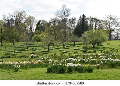 Irwin Park In New Canaan, Connecticut