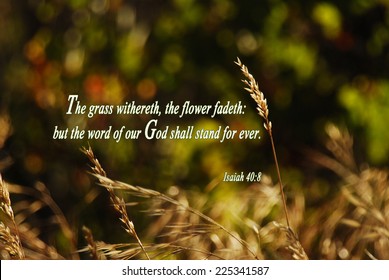 Isaiah 40:8 