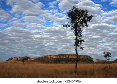 Isalo National Park, Madagascar