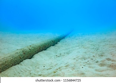 Ishigaki Island Diving - Submarine cable