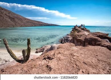 Isla Espiritu Santo, La Paz, Baja California, Mexico.