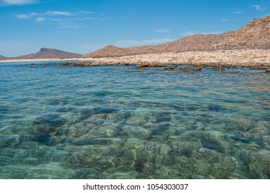 Isla Espiritu Santo, Sea Of Cortes, La Paz Baja California Sur. MEXICO