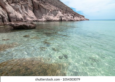 Isla Espiritu Santo, Sea Of Cortes, La Paz Baja California Sur. MEXICO