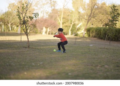 310 Cricket student Stock Photos, Images & Photography | Shutterstock