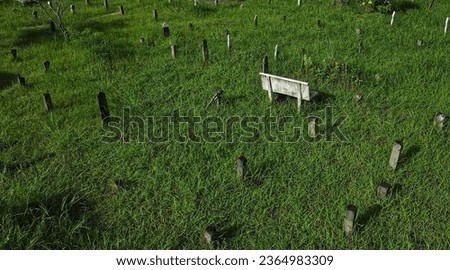 Islamic cemetery or kubor Green lawn, chairs, green stones calm the mind and mood.