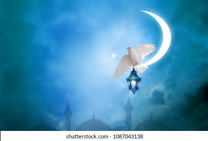 Islamic greeting  Eid Mubarak cards for Muslim Holidays.Eid-Ul-Adha festival celebration . Ramadan Kareem background. Moon and Lantern Lightning in sky.Crescent and Dove