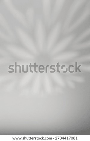 Islamic pattern with arabesque overlay for Eid and Ramadan background. Abstract geometry Arab shadow and window gobo light texture for elegant design. Traditional art with mandala for decoration	