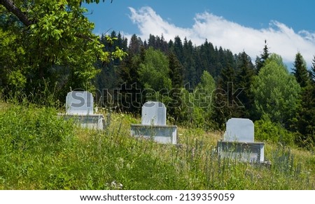 Islamic stone cemetery. ( selective focus ) Modern Turkish tomb structures. Marble tomb architecture in Turkey. Three tombs in green nature.