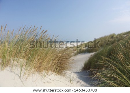 Similar – Image, Stock Photo Dune with sea view Freedom