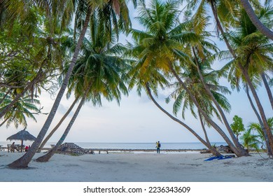 Island beach with white sandy beaches and blue sky and blue sea with green trees, best travel destinations