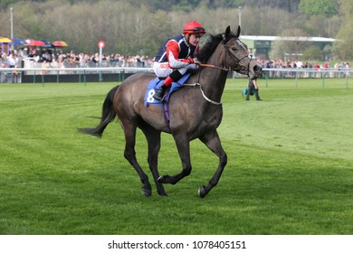 Island Fox Ridden By Kieran O'Neill And Trained By David Loughnane Runs To The Start In The 1m 2f Maiden Stakes : Colwick Park, Nottingham, UK : 21 April 2018 