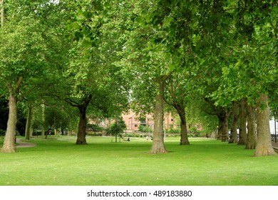 325,371 Island gardens Images, Stock Photos & Vectors | Shutterstock