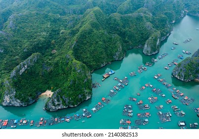 Cát Bà Island is the largest of the 367 islands spanning 260 km2 (100 sq mi) that comprise the Cat Ba Archipelago, which makes up the southeastern edge of Lan Ha Bay in Northern Vietnam. Cat Ba island