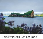An island in the middle of the ocean with lupins in the foreground, Umnak, Alaska