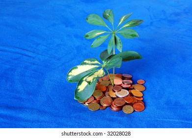 Island With Money Coins And Leaves Showing Tax Shelter Concept