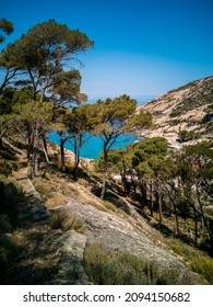 Island Of Montecristo Tuscan Archipelago