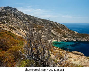 Island Of Montecristo Tuscan Archipelago