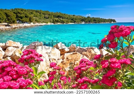 Island of Murter turquoise lagoon beach Slanica and red flowers view, Dalmatia archipelago of Croatia