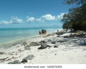 Ouvéa Island In New Caledonia: By The Beach