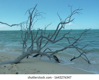 Ouvéa Island In New Caledonia: By The Beach