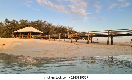 Island Ocean Pier At Heron Island