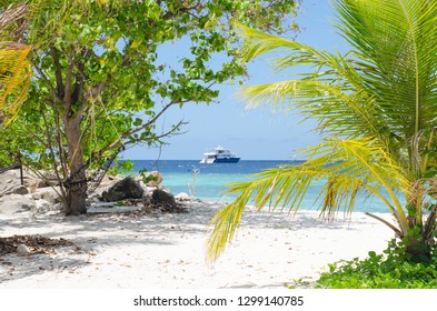 the island on Maldives a landscape of the beach of the ocean and the ship
 - Shutterstock ID 1299140785