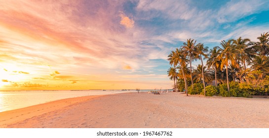 Island palm tree sea sand beach. Panoramic beach landscape. Inspire tropical beach seascape horizon. Orange and golden sunset sky calmness tranquil relaxing summer mood. Vacation travel holiday banner - Powered by Shutterstock