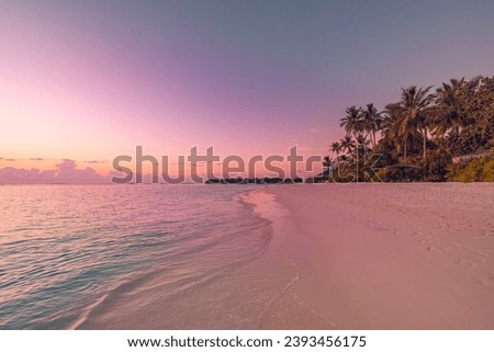 Island palm trees sea sand beach. Amazing beachside landscape. Inspire tropical coast seascape horizon. Colorful sunset light sky calm tranquil relax summer mood. Vacation travel romantic holiday