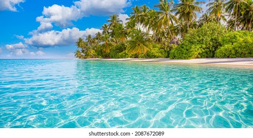 Island Panorama, Tropical Resort In Maldives Or French Polynesia, Tahiti. Horizon Of Panoramic Beach, Palm Trees, White Sand, Ocean Lagoon Landscape Of Paradise Beach. Luxury Traveling Vacation Banner