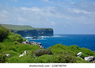 Española Island Is Part Of The Galápagos Islands                              