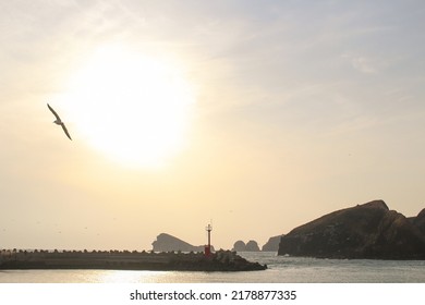 The Island Port In Jeju With Sunset