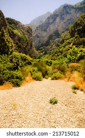 Island of Samos wild nature north-west corner, dried riverbed valley,  Greece.
