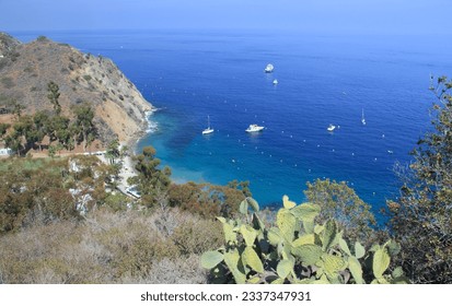Island of Santa Catalina California nature park landscape