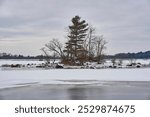 Island with trees on it, in the middle of a frozen snow covered lake.