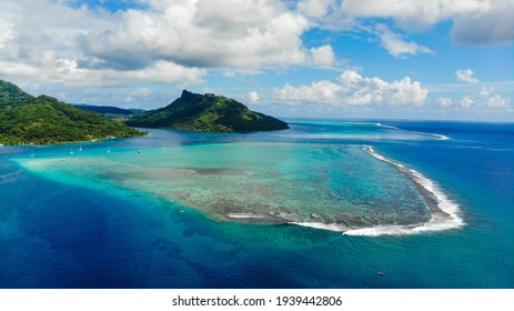 Island And Tuamoto At French Polynesia